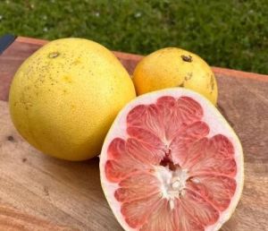 Fresh Pomelo