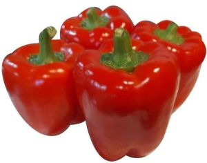 Fresh Red Capsicum