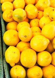 Fresh Yellow Lemon