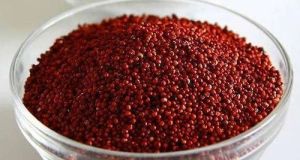 Ragi Millet Seeds