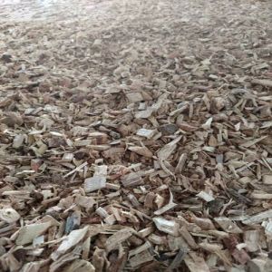 Babool Wood Fuel Chips