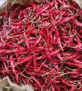 Teja Dry Red Chilli