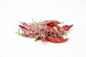 Dry Red Chilli