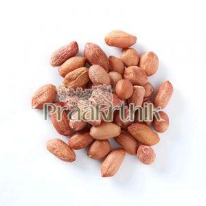 Groundnut Seeds