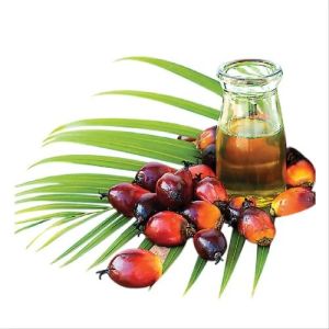 Refined Palm Oil