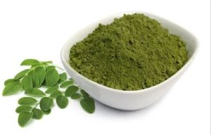 Natural Moringa Leaf Powder