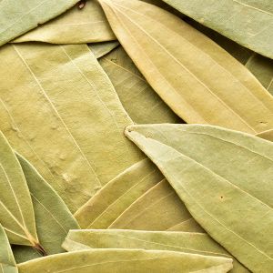 Bay Leaf