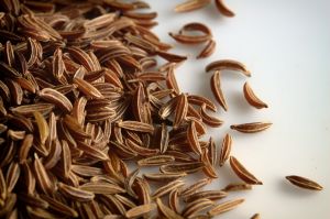 organic fennel seeds