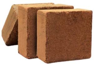 Cocopeat Block