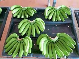 Green Banana