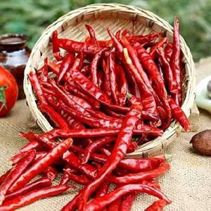 Teja Dry Whole Red Chilli