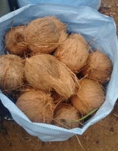 Husked Coconut