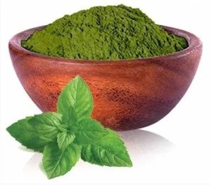 mint leaf powder