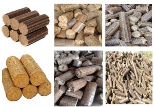 Bio Mass Briquettes