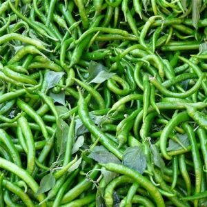 Fresh Green Chilli