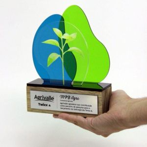 Customized Wooden Trophy