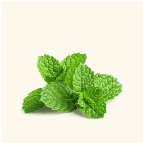 Peppermint Oil