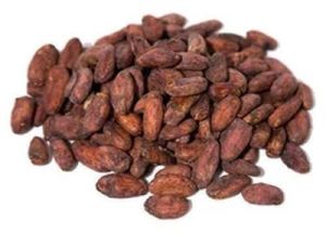 Dried Raw Cocoa Beans