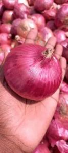 Onions