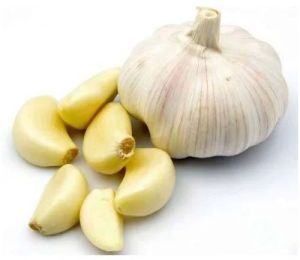 Fresh Natural Garlic