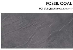 Fossil Coal Ceramic Floor Tiles