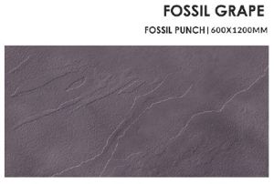 Fossil Grape Ceramic Floor Tiles