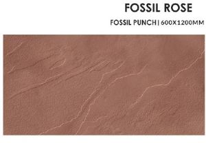 Fossil Rose Ceramic Floor Tiles