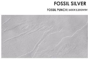 Fossil Silver Ceramic Floor Tiles