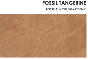 Fossil Tangerine Ceramic Floor Tiles