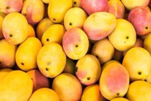 Organic Fresh Mango