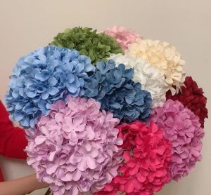 Fresh Hydrangea Flower