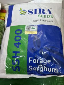 Forage Sorghum Seeds