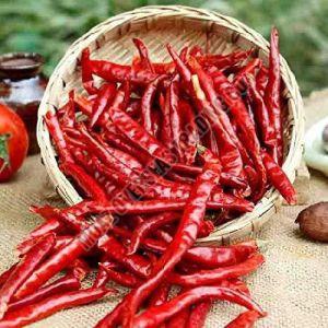 Dry Red Chilli