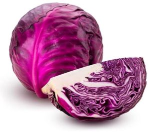 Purple Cabbage