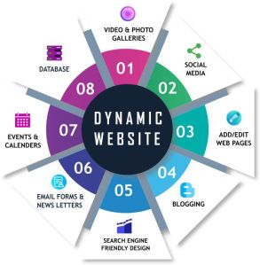 Dynamic Website Development