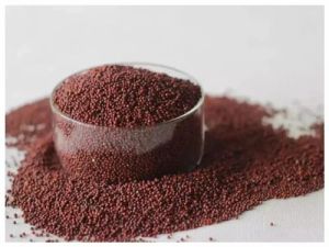 Finger Millet