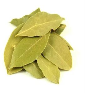 Bay Leaves