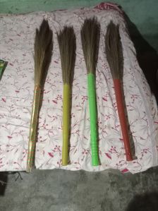 Broom Grass