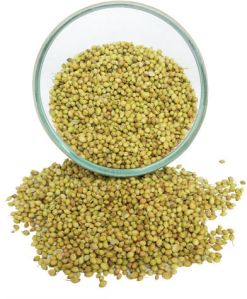 Coriander Seeds