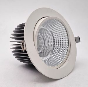 Accent LED COB Light