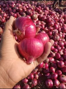 Red Onion