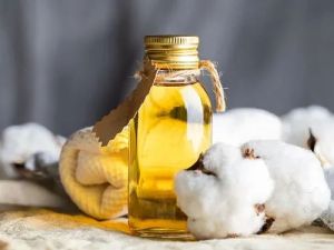 Cotton Seed Oil