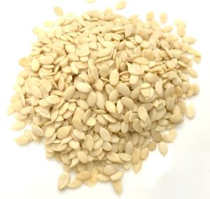 Magaj Seeds