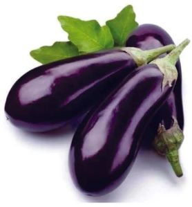 A Grade Fresh Brinjal