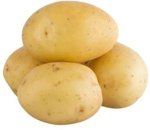 A Grade Fresh Potato