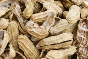 Raw Groundnut Shell