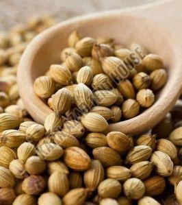 Coriander Seeds