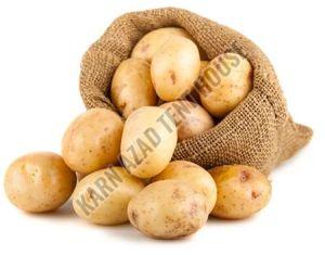 Fresh Baby Potato