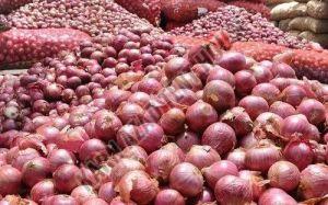 Fresh Red Onion