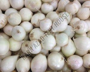 Fresh White Onion